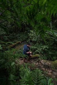 BIB: 
                            <button type="button" onclick="openModal(16029695)" class="btn btn-primary btn-sm float-right btn-popup" data-toggle="modal" data-target=".modal-high-quality">
                        <i class="fas fa-shopping-cart"></i> Add to Cart
                    </button>
                                            <button type="button" onclick="isThisMe(16029695, true)" class="btn btn-success btn-sm float-right btn-popup btn-isme hidden" data-toggle="tooltip" data-placement="bottom" title="นี่คือรูปของคุณใช่ไหม คลิกที่นี่เพื่อเอาเข้าอัลบั้ม">
                        <i class="fas fa-plus"></i> Add to album
                    </button>
                    <button type="button" onclick="isThisMe(16029695, false)" class="btn btn-warning btn-sm float-right btn-popup btn-isnotme hidden">
                        <i class="fas fa-ban"></i> Remove from album
                    </button>